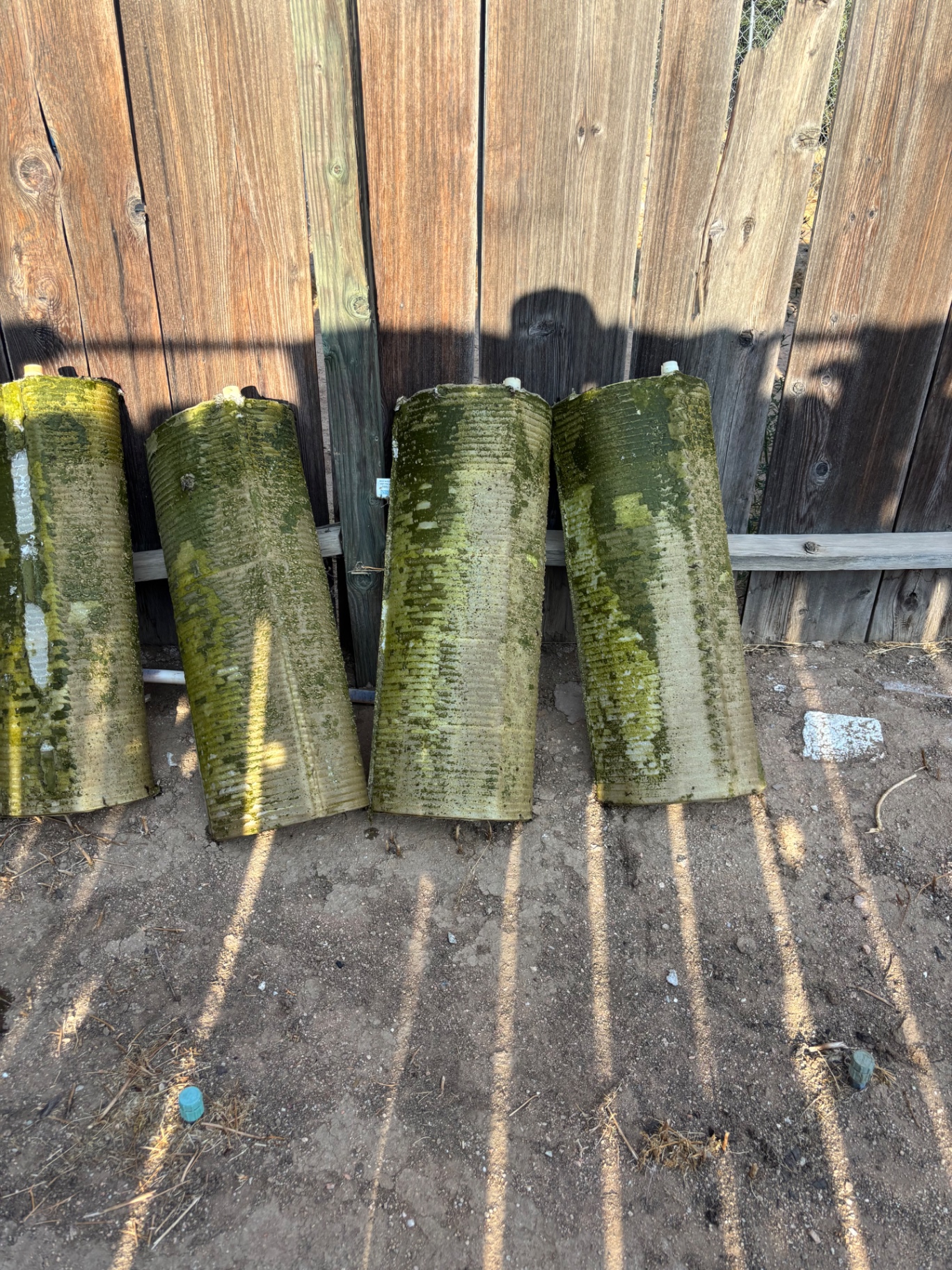 Algae-covered DE filter grids lined up before scrubbing